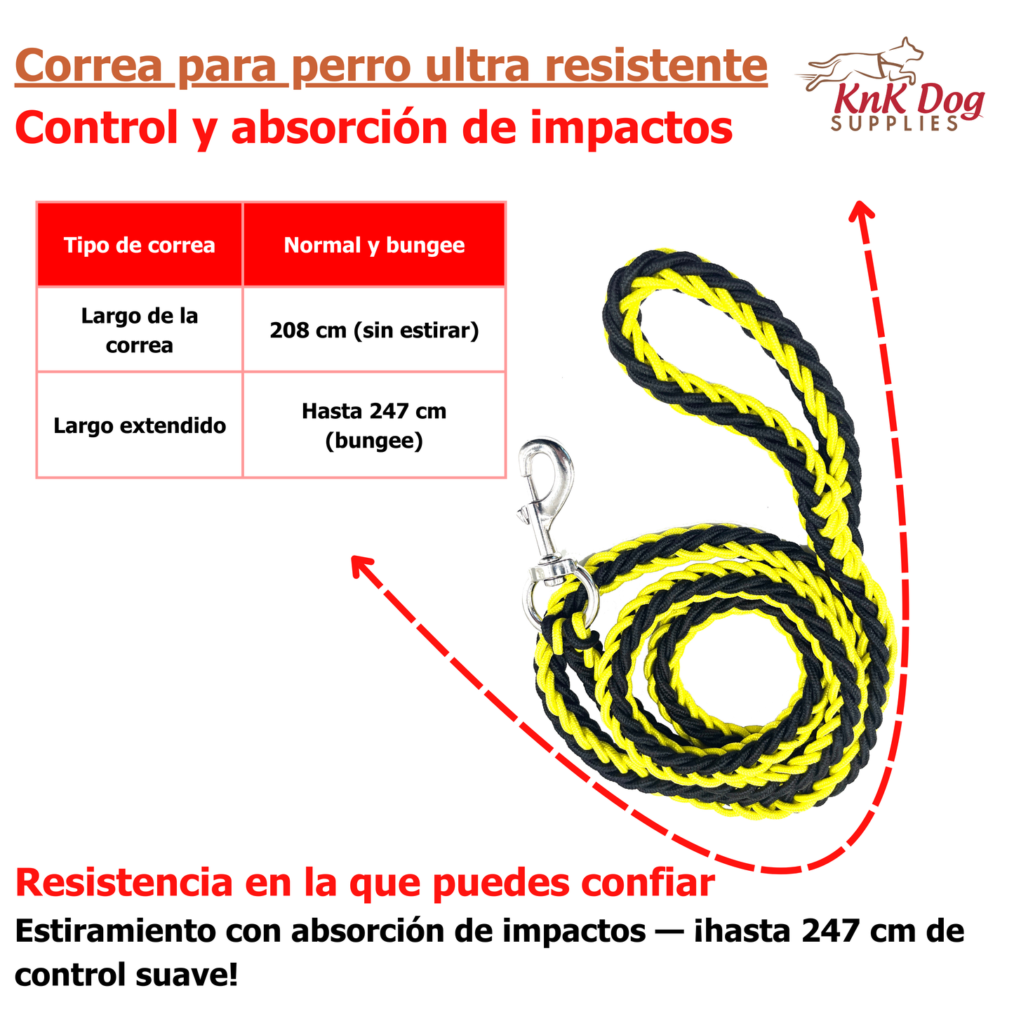 Correa para Perro