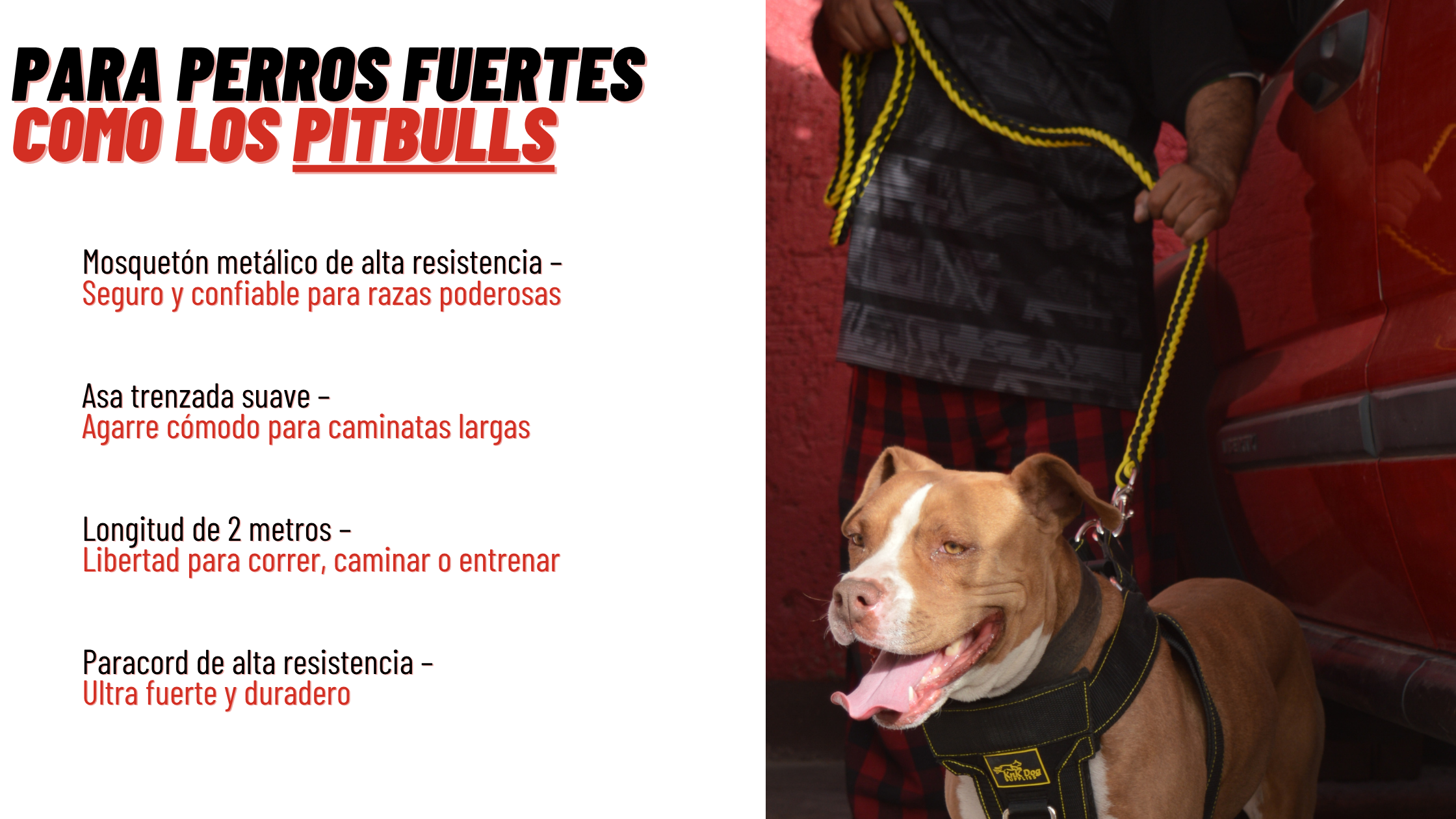 correa para perro pitbull