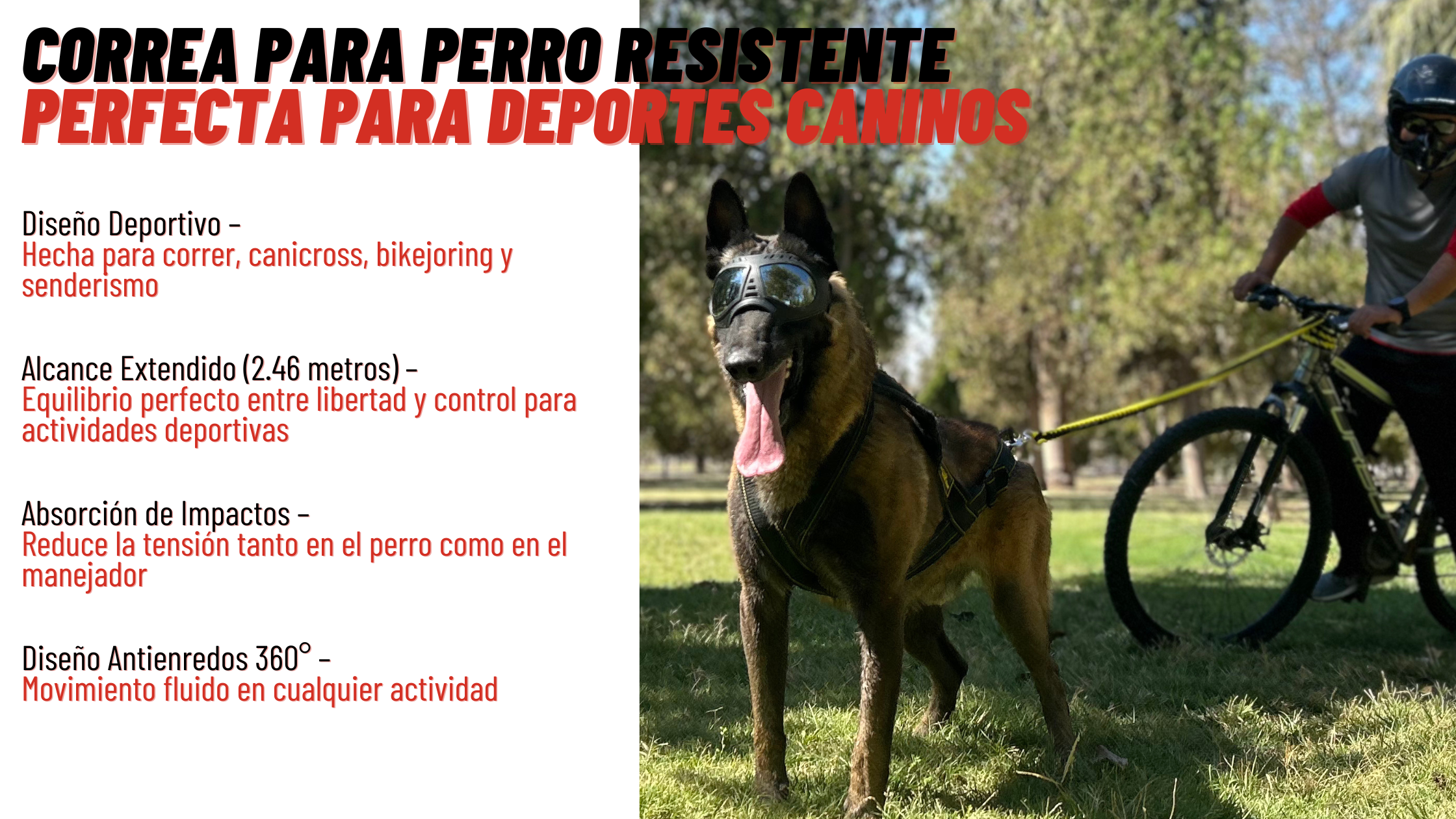 Correa para Perro Resistente
Perfecta para deportes caninos