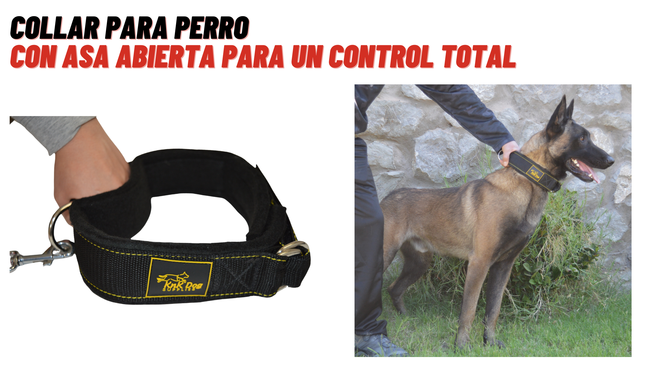 collar tactico para perros
