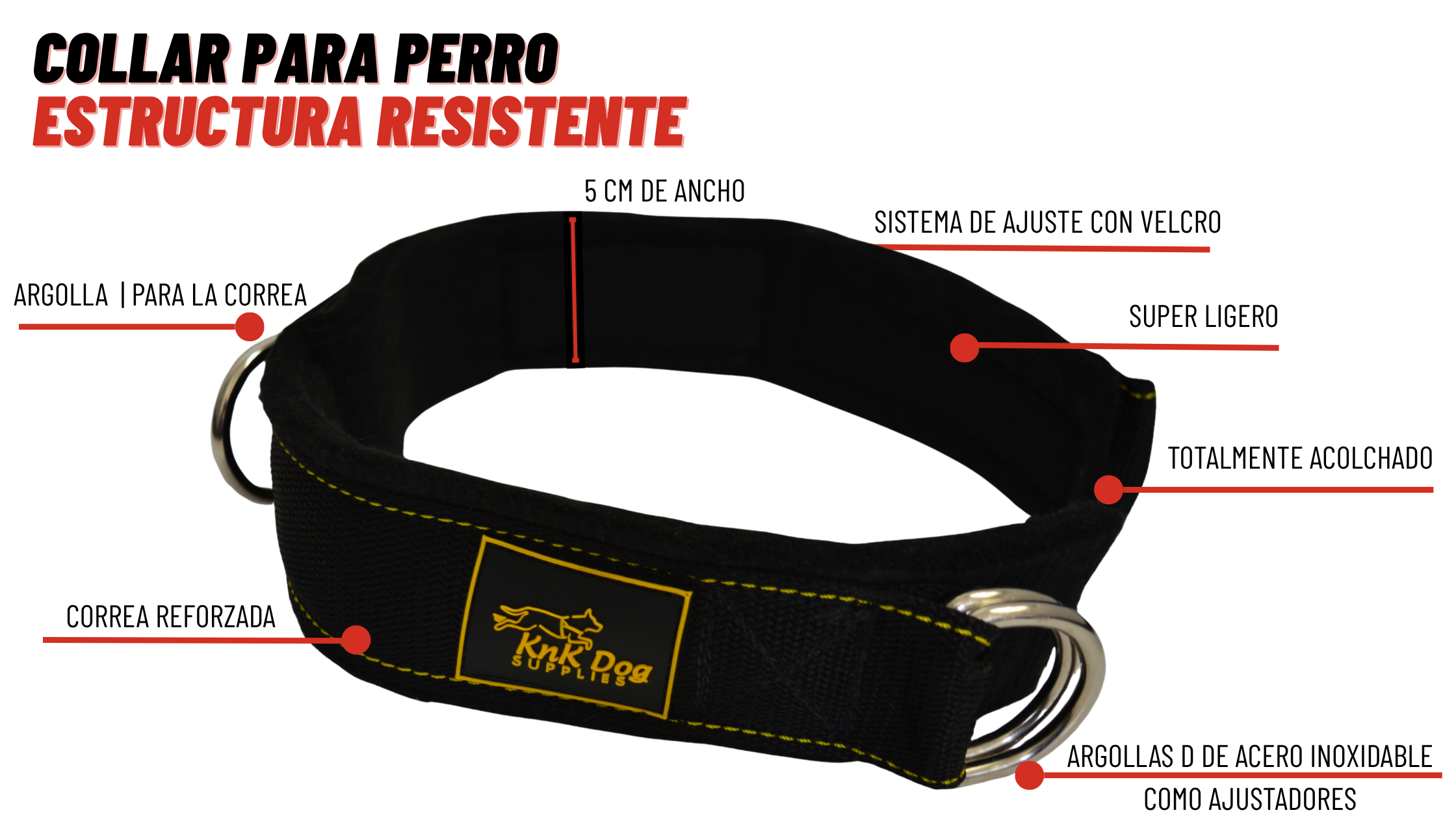 collar para perro