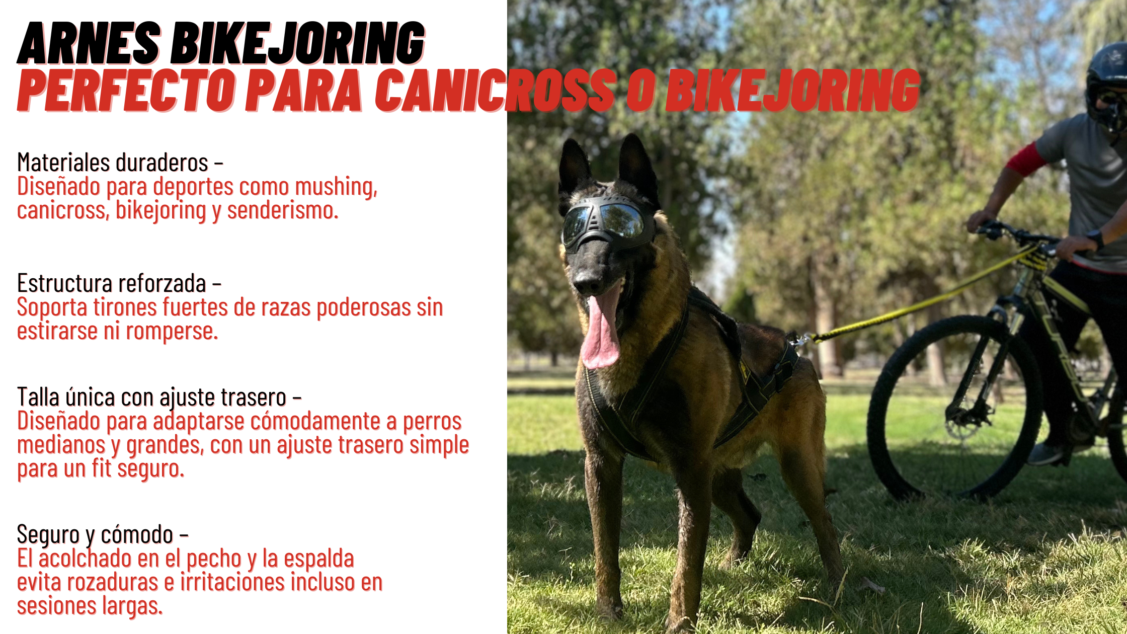 arnes bikejoring
