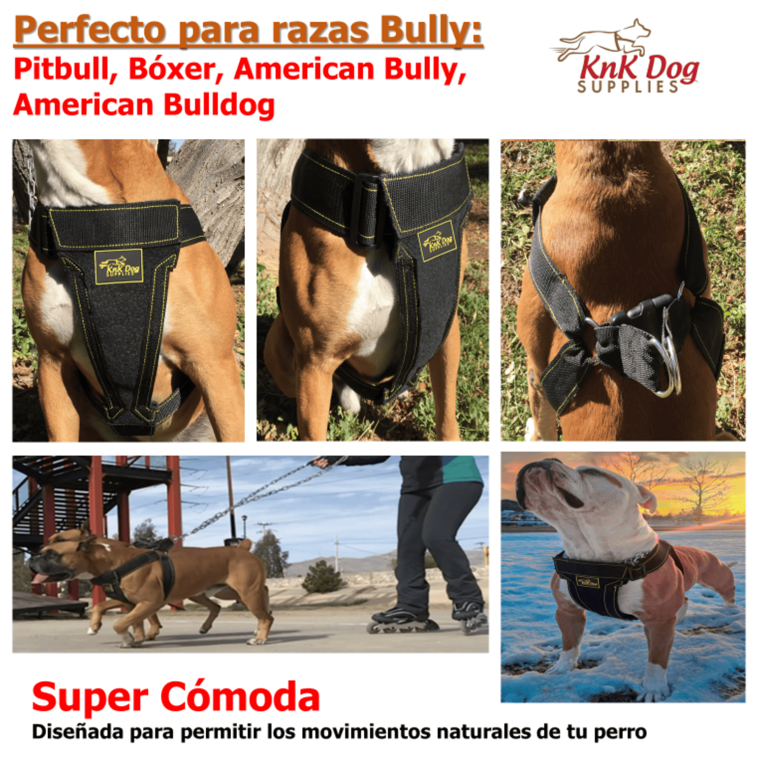 pechera para perro grande