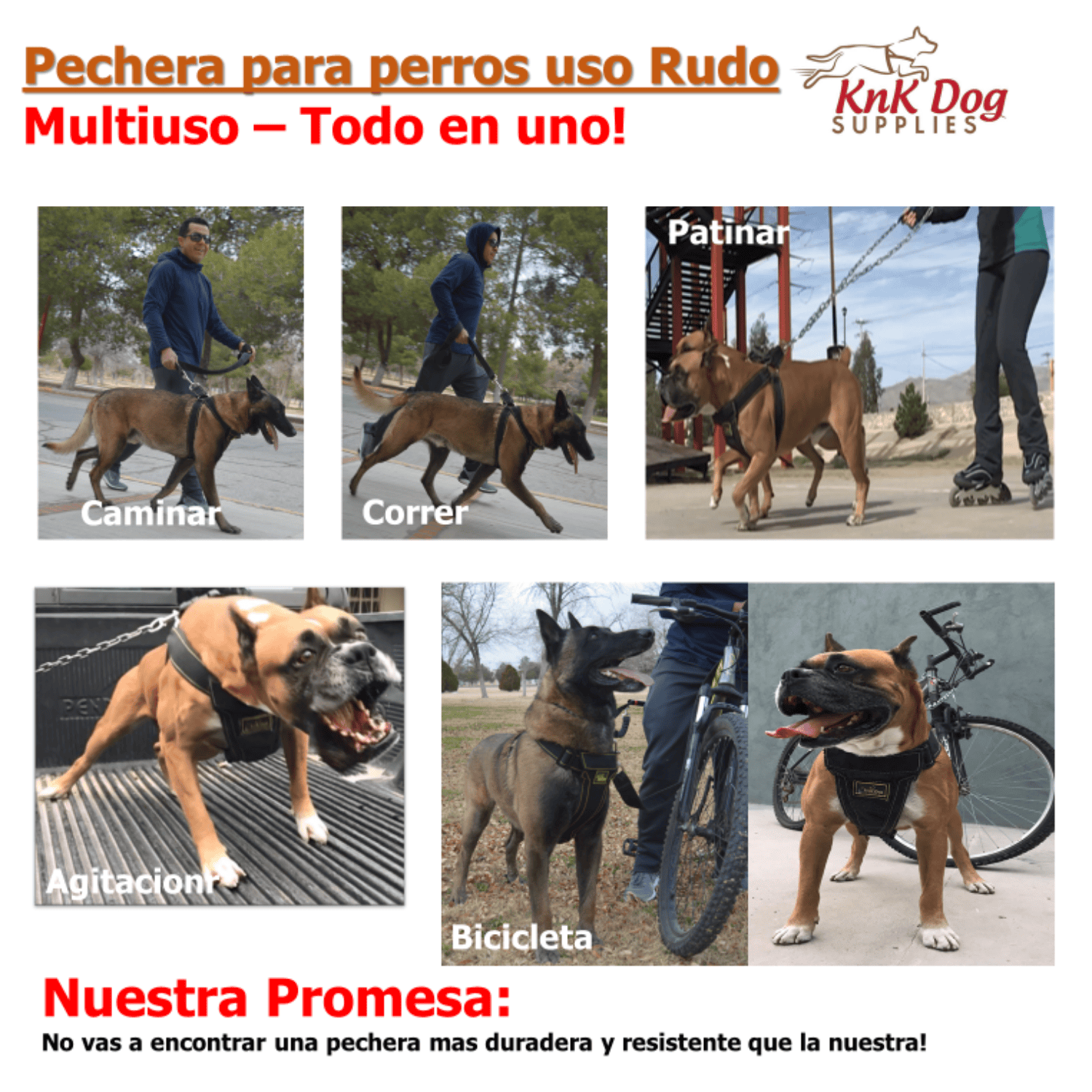 arnes para perro
