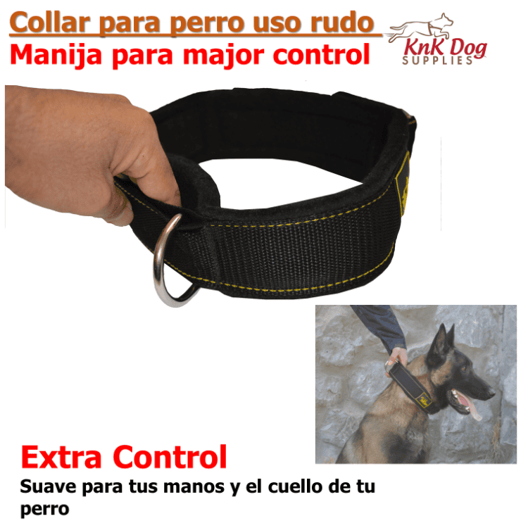 Collar para perro