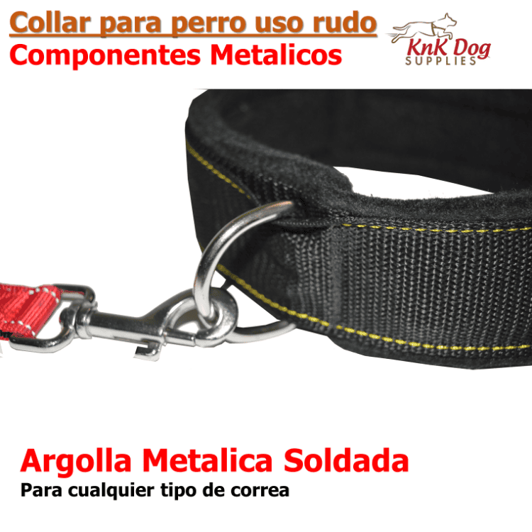 Collar para perro