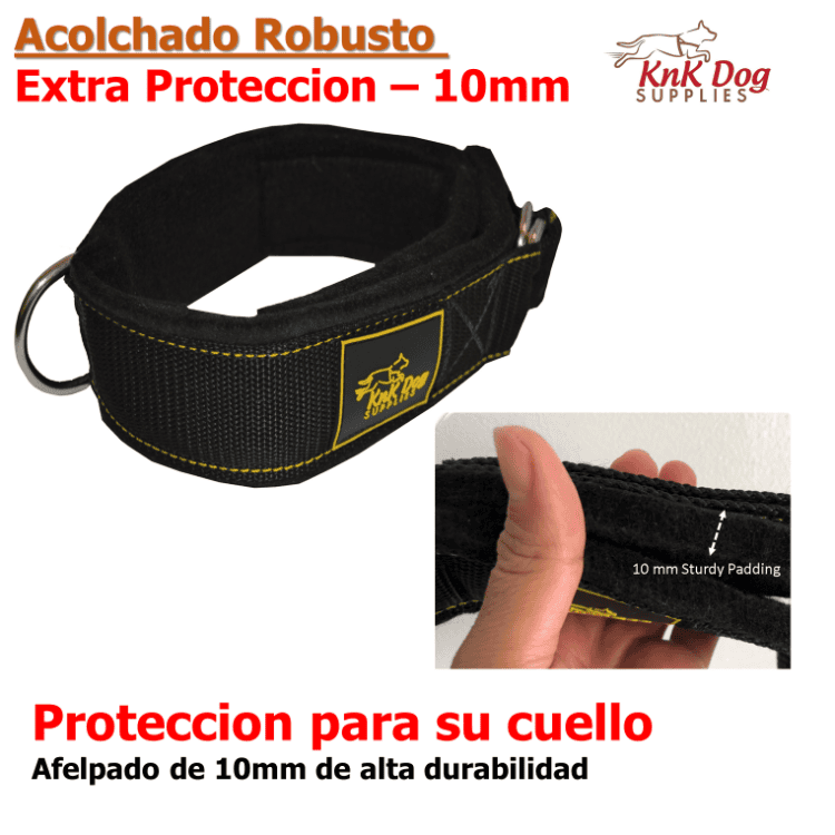 Collar para perro