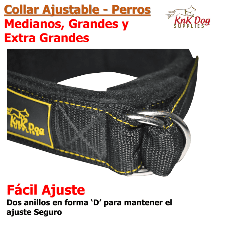 Collar para perro