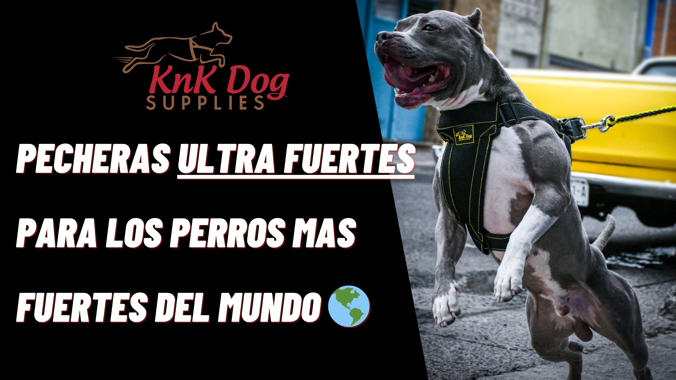 Pechera para perro Pitbull Dog wearing a harness with KnK Dog Supplies branding on a street background.