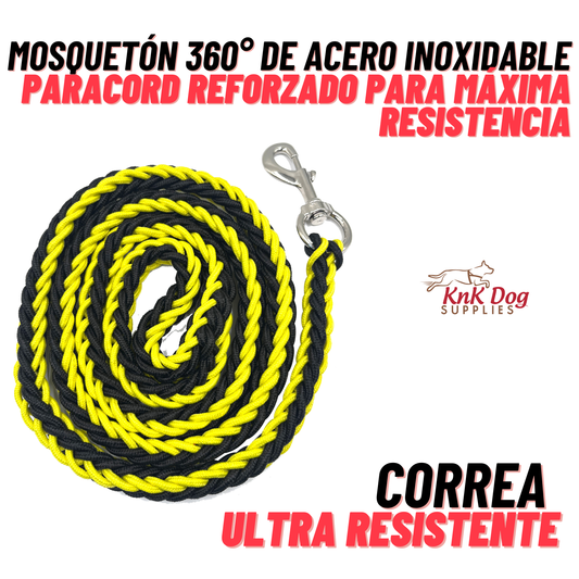 Correa para Perro