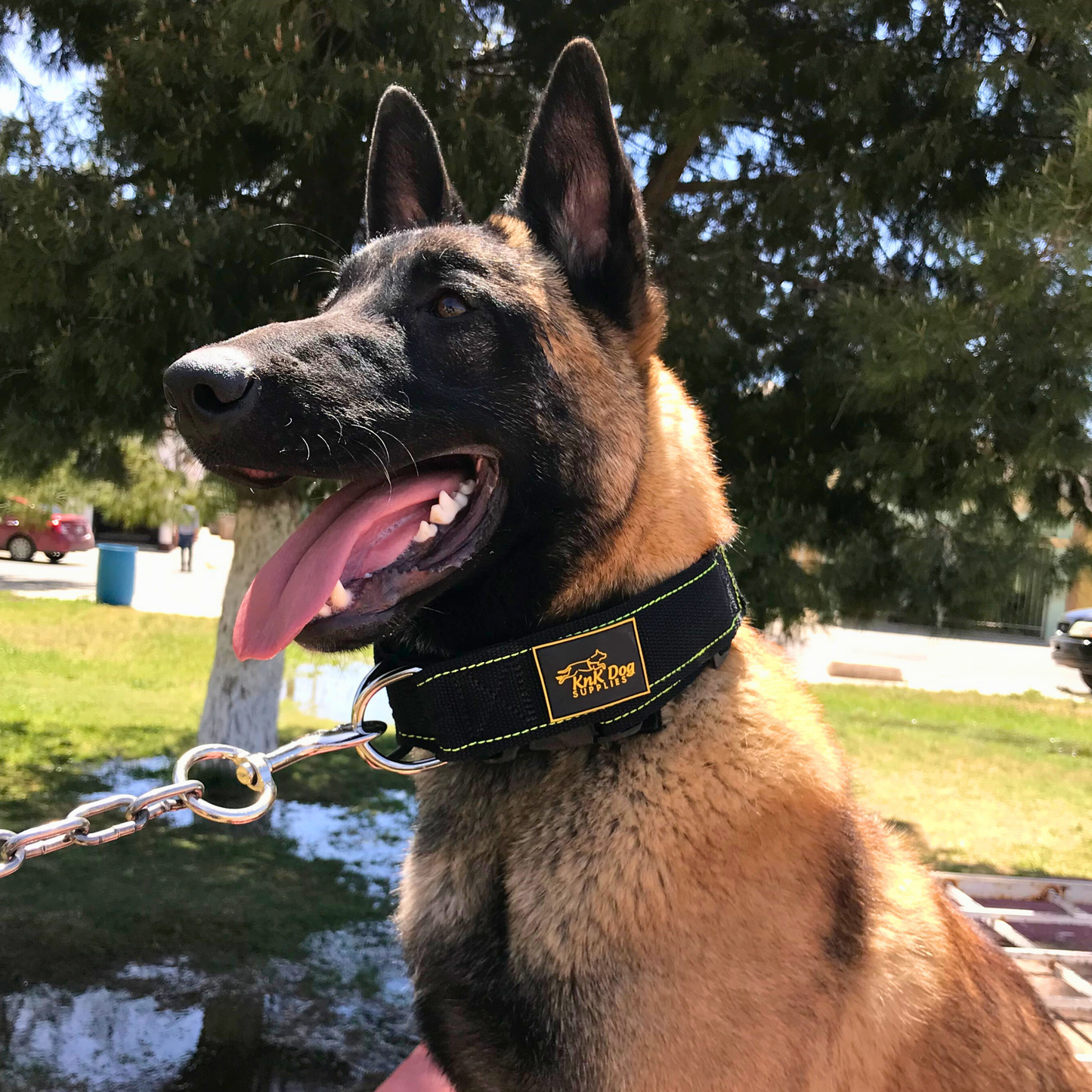 Heavy Duty Tactical Dog Collar