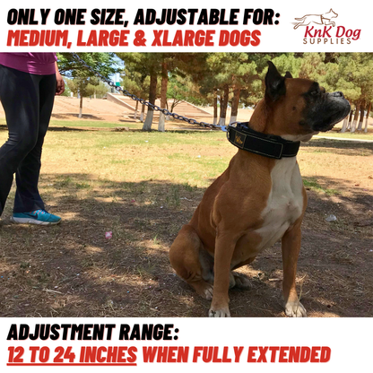 Heavy Duty Tactical Dog Collar