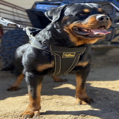 pechera para perro rottweiler