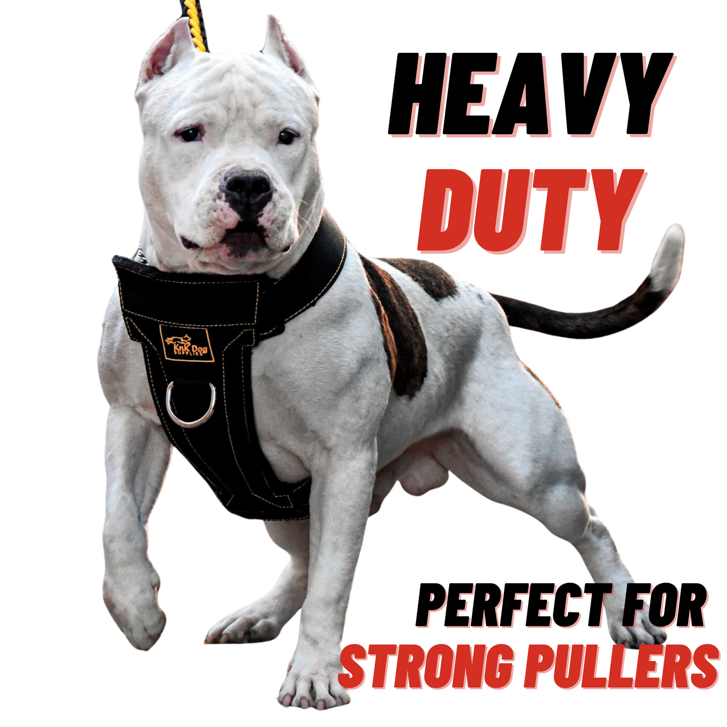 No Pull Front Clip Dog Harness