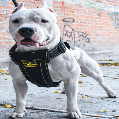 Heavy Duty Dog Harness