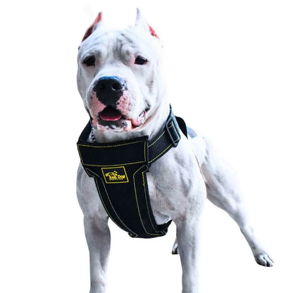 KNK® Dog Harness for Pitbull and Bully breeds - 1,540 lbs Strength & Metal Buckles
