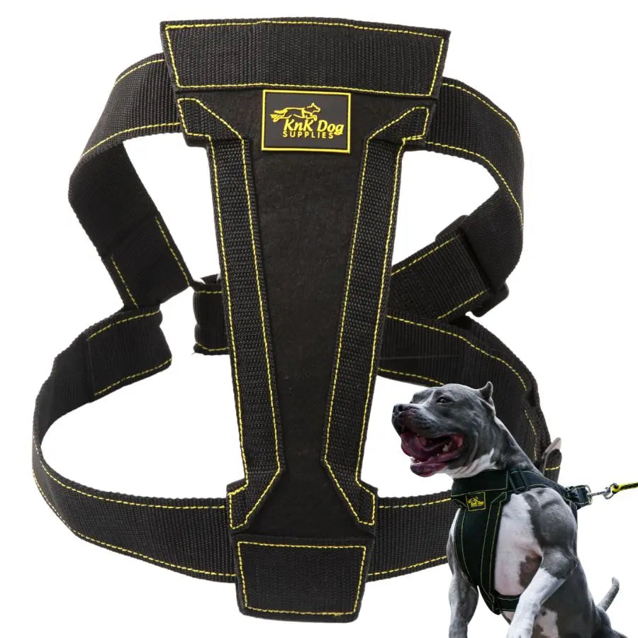 Heavy Duty Pitbull Harness with Metal Hardware