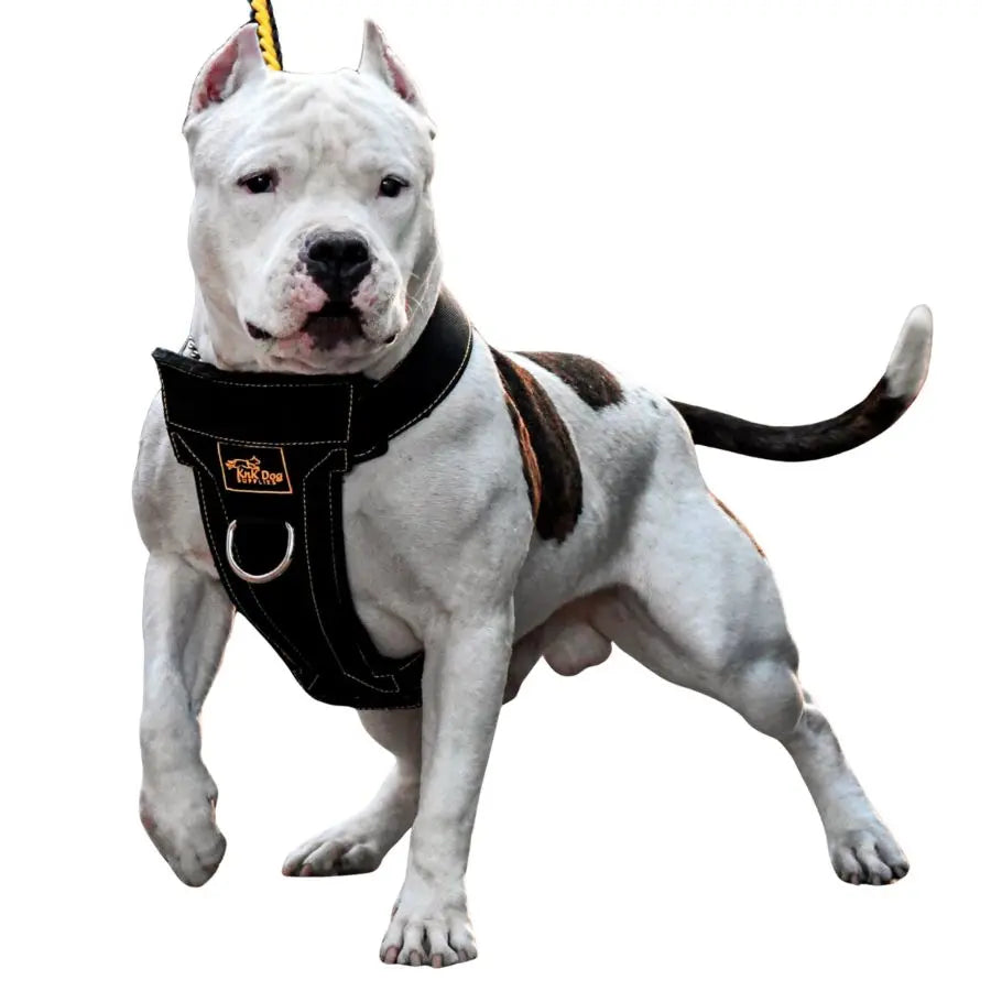 No Pull Front Clip Pitbull Dog Harness