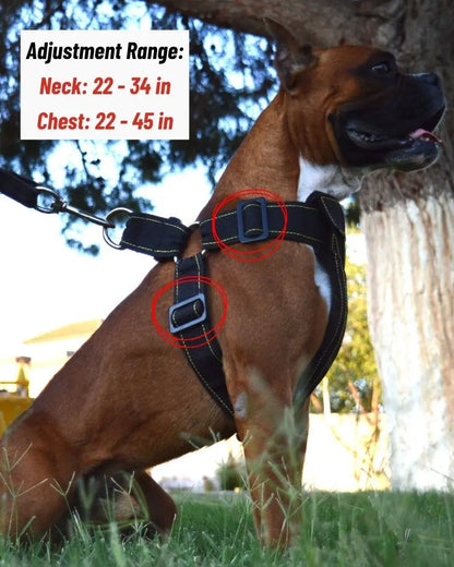 No Pull Heavy Duty Dog Harness Size and fit