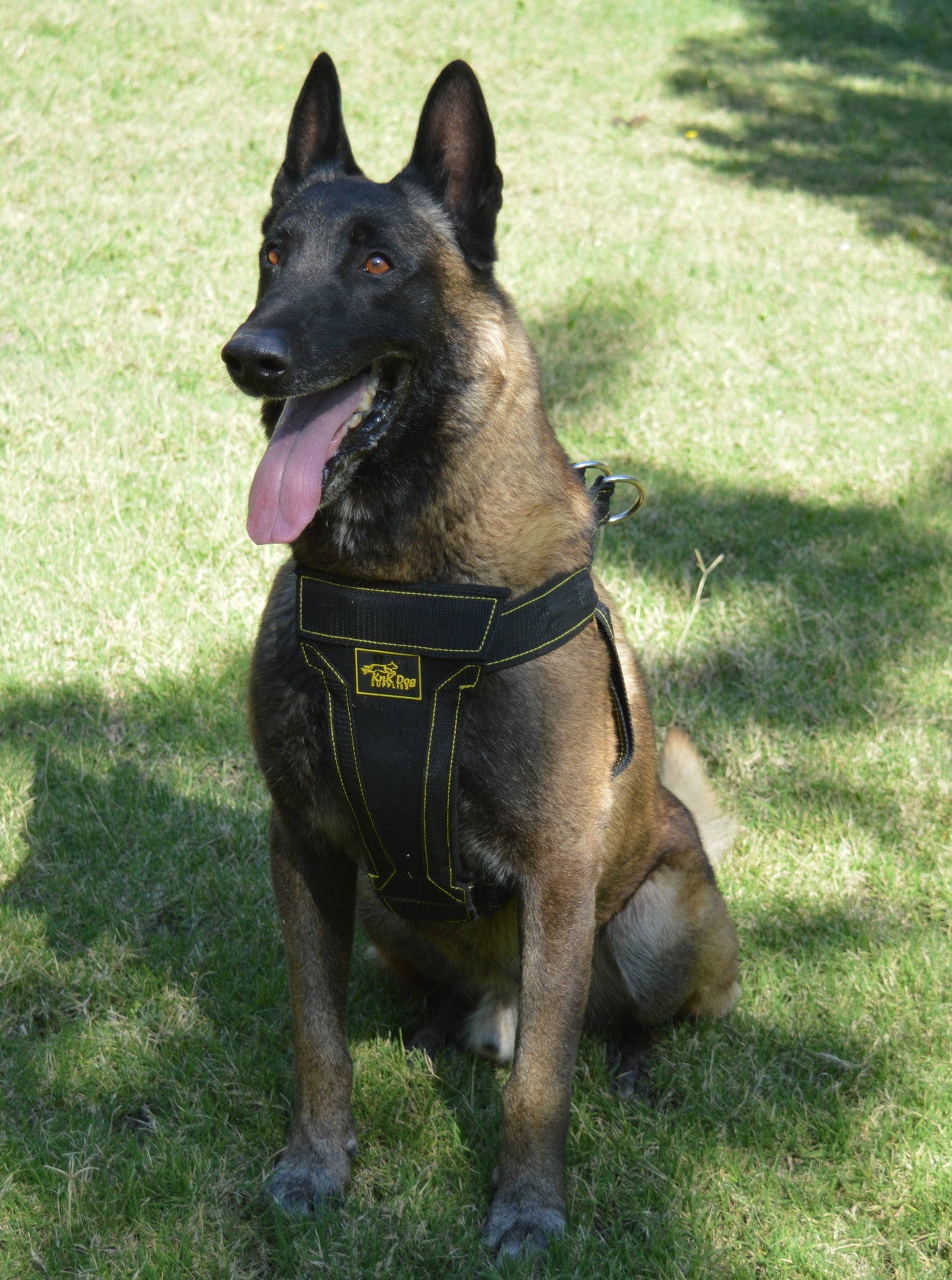 pechera para pastor belga malinois