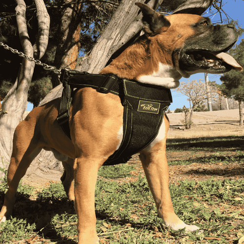 Heavy Duty Dog Harness