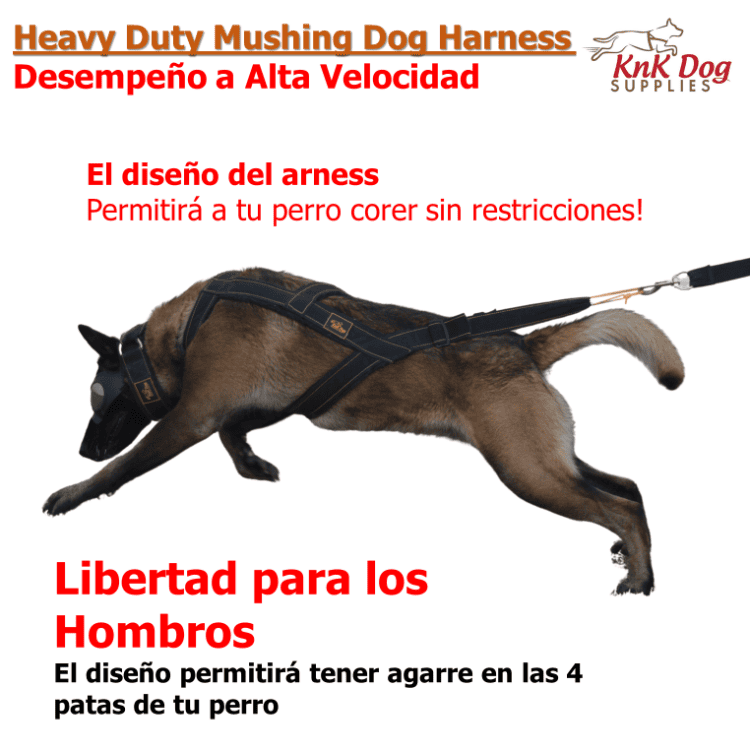 Arnes para Mushing, Canicross o Bikejoring