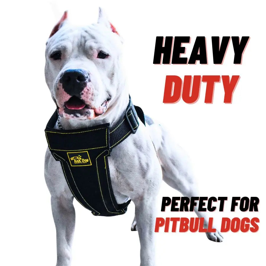 KNK® Dog Harness for Pitbull - 1,540 lbs Strength & Metal Buckles