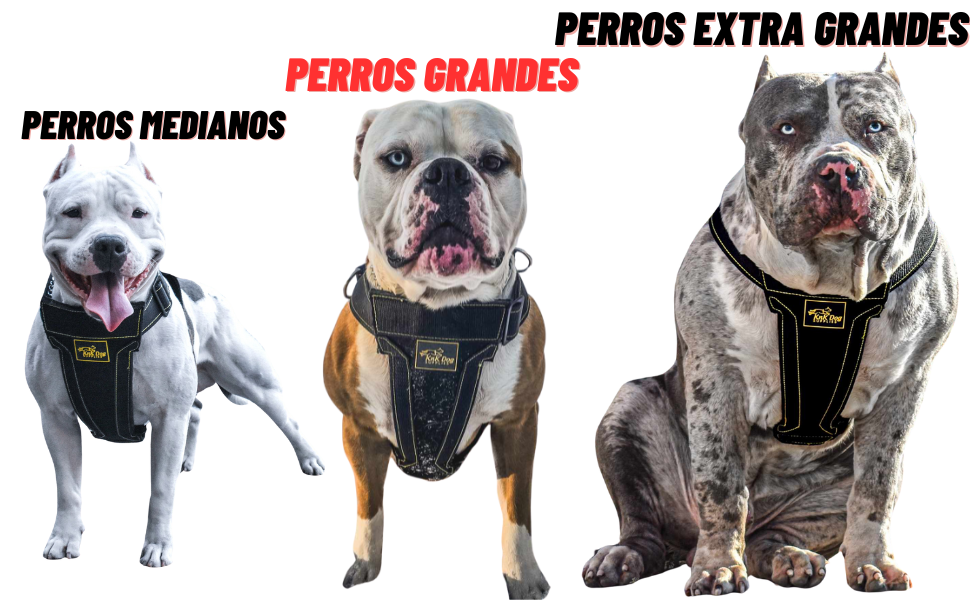 Pecheras para perros medianos grandes y extra grandes